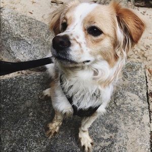 Meet your Posher, Christina